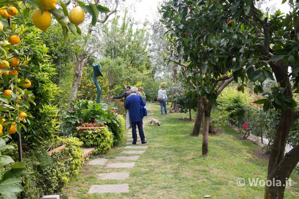 GIARDINI SEGRETI di Buggiano Castello GIARDINI SEGRETI di Buggiano Castello